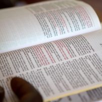 The Importance of Expository Preaching